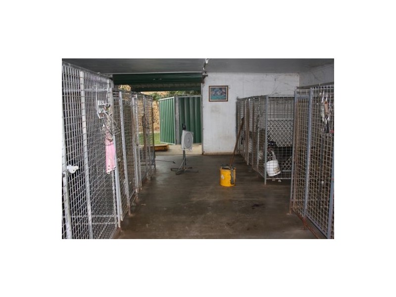 177 Murphys Creek Road, Withcott QLD 4352