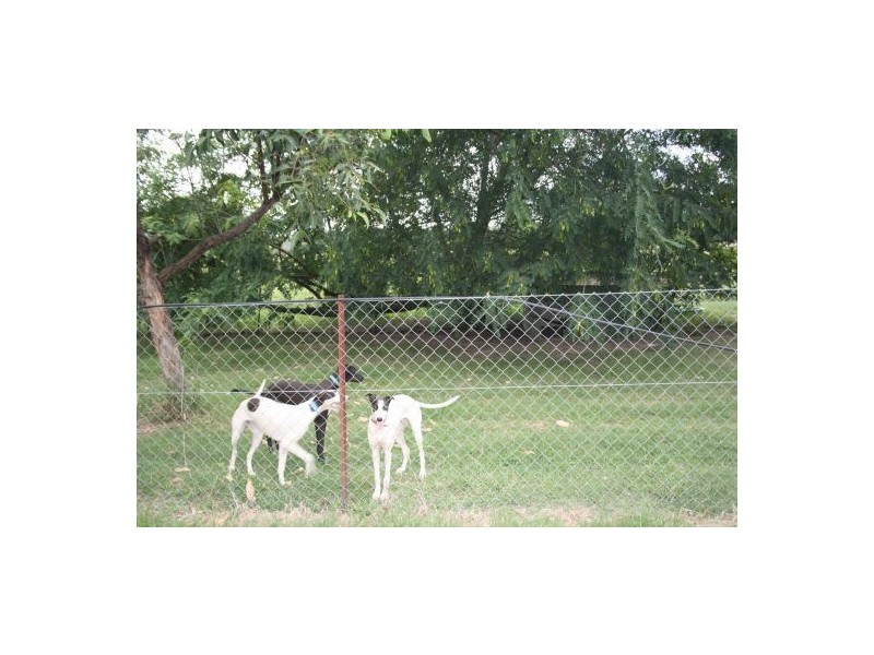 177 Murphys Creek Road, Withcott QLD 4352