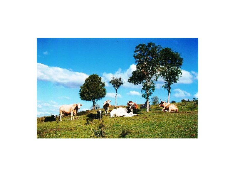 144 Fletchers Rd, Iredale QLD 4352