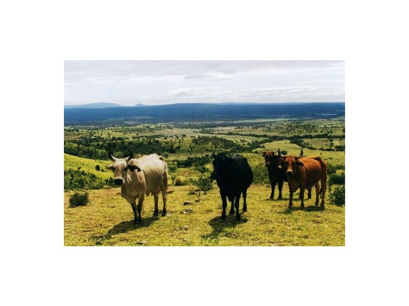 144 Fletchers Rd, Iredale QLD 4352