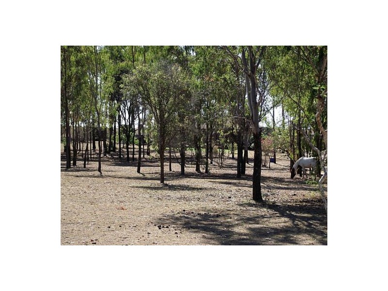 9 Wagtail Drive, Regency Downs QLD 4341
