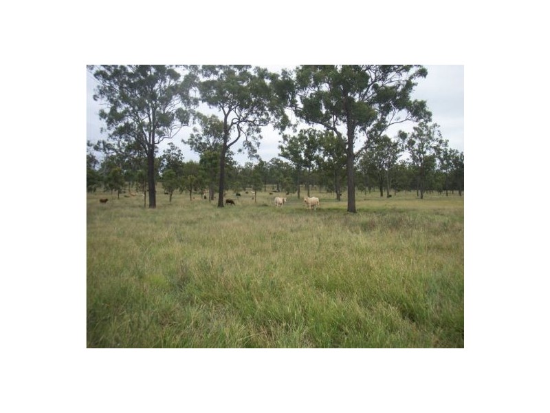 97 Hegarty Road, Ellangowan QLD 4361