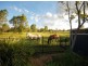 369 Postmans Ridge Rd, Withcott QLD 4352