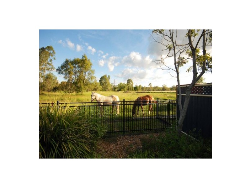 369 Postmans Ridge Rd, Withcott QLD 4352
