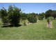 159 Ossian Street, Murphys Creek QLD 4352