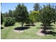 159 Ossian Street, Murphys Creek QLD 4352