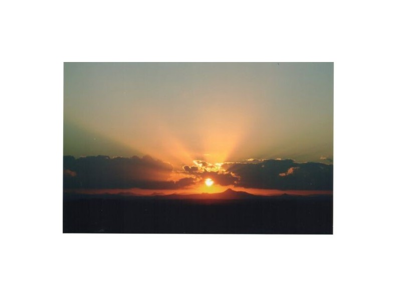 2 Torrelliana Ct, Cornubia QLD 4130