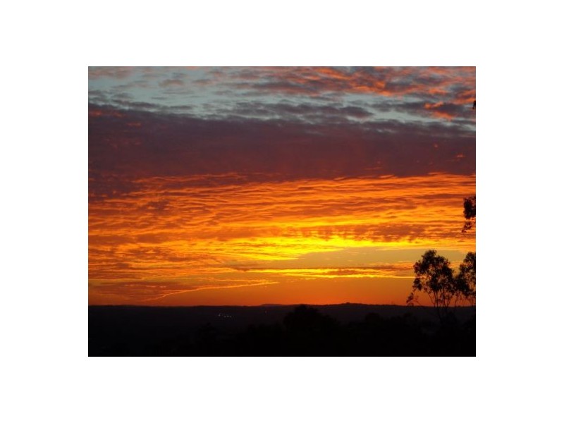 2 Torrelliana Ct, Cornubia QLD 4130