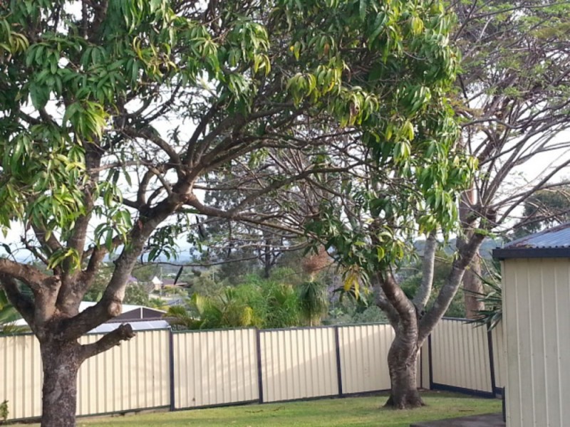 192 Plantain Road, Shailer Park QLD 4128