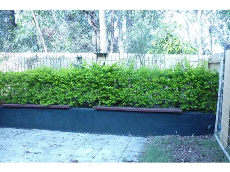 49/1230 Creek Road, Carina Heights QLD 4152