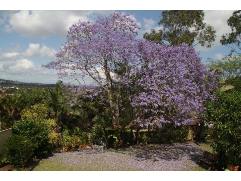 33 Cowra Street, Tanah Merah QLD 4128