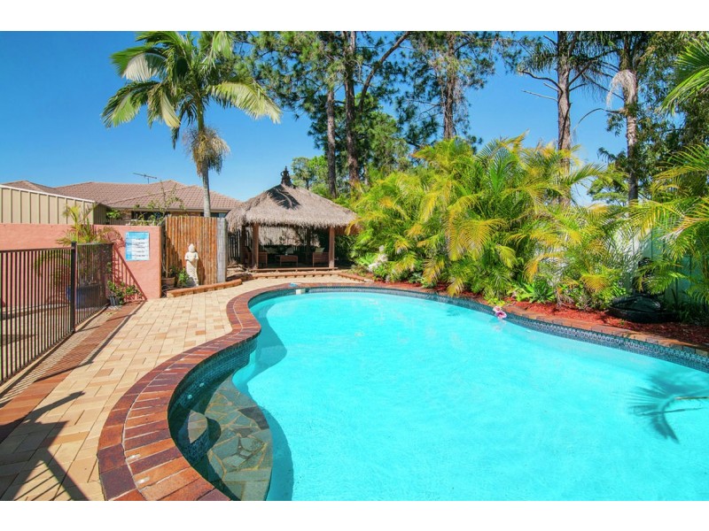 8 Conifer Street, Daisy Hill QLD 4127