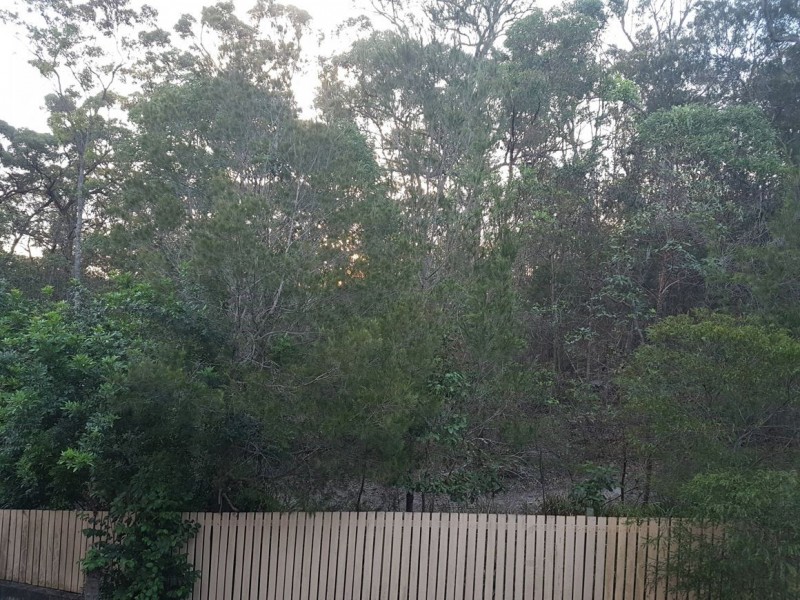 Carina Heights QLD 4152