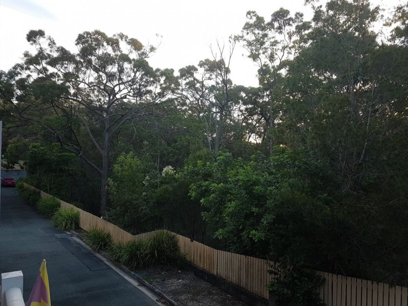 Carina Heights QLD 4152