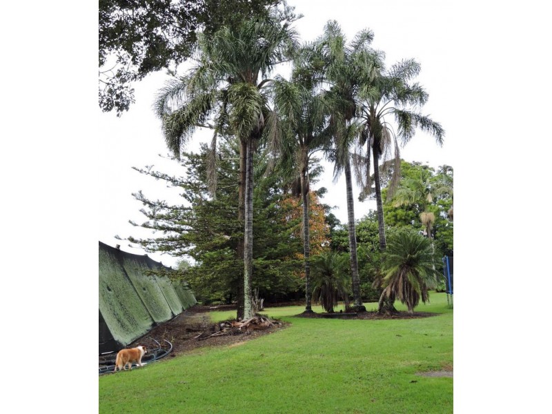 62 Johnstons Road, Alstonville NSW 2477