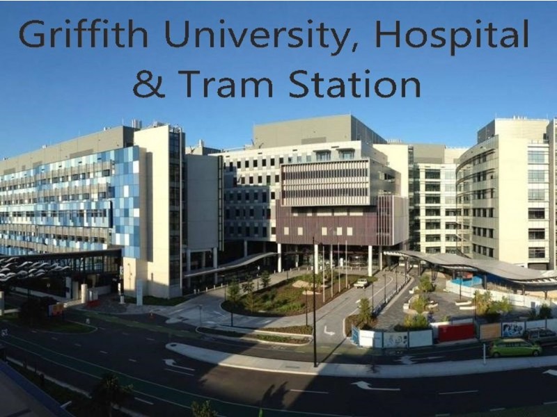 12 Jordana Street, Arundel QLD 4214