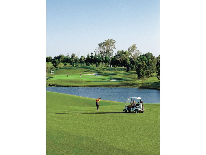 39 Old Coach Road, Upper Coomera QLD 4209