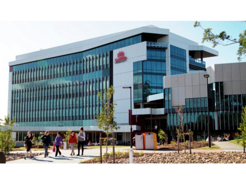 98 Kumbari Avenue, Labrador QLD 4215