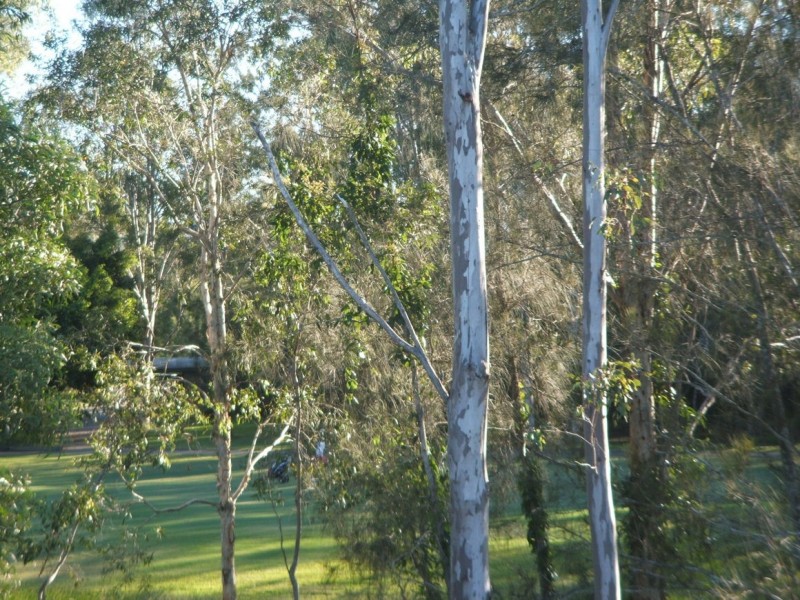 16 Paluma Crescent, Pimpama QLD 4209