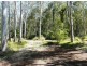 28 Fischer Rd, Carbrook QLD 4130