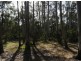 28 Fischer Rd, Carbrook QLD 4130