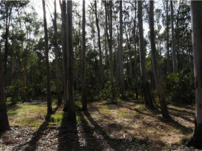 28 Fischer Rd, Carbrook QLD 4130