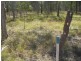 Lot 55 Coast Road, Baffle Creek QLD 4674