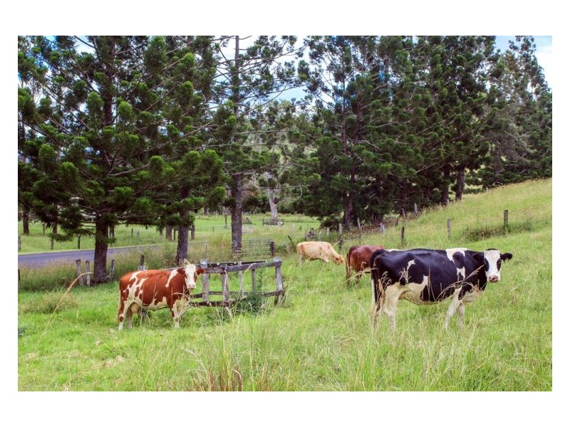 518 Rock Valley Road, Rock Valley NSW 2480