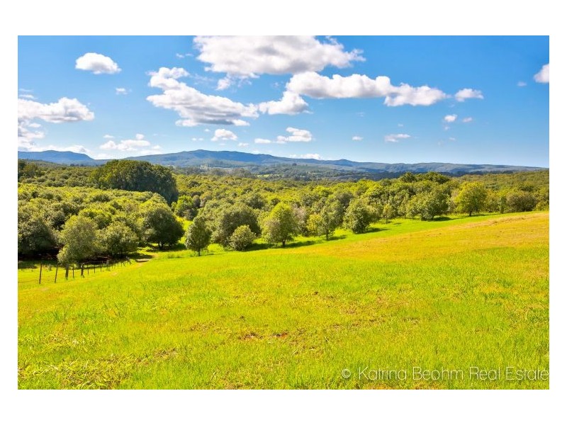 101 Frasers Road, Dunoon NSW 2480