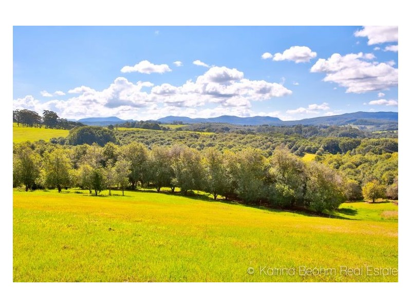 101 Frasers Road, Dunoon NSW 2480