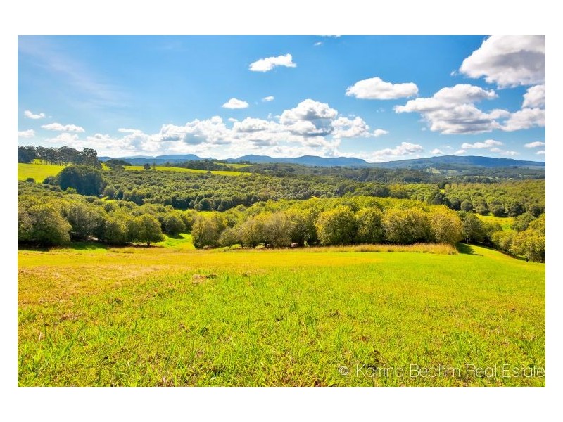 102 Frasers Road, Dunoon NSW 2480