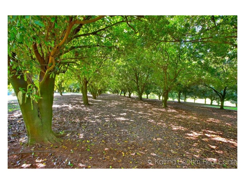 102 Frasers Road, Dunoon NSW 2480