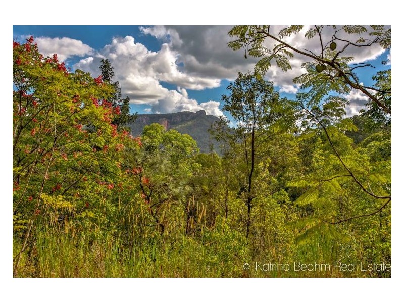 55 Falls Road, Nimbin NSW 2480