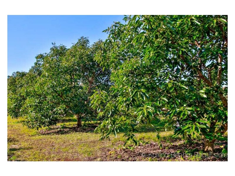 371 Whian Whian Road, Whian Whian NSW 2480