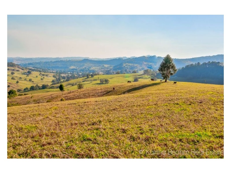 371 Whian Whian Road, Whian Whian NSW 2480