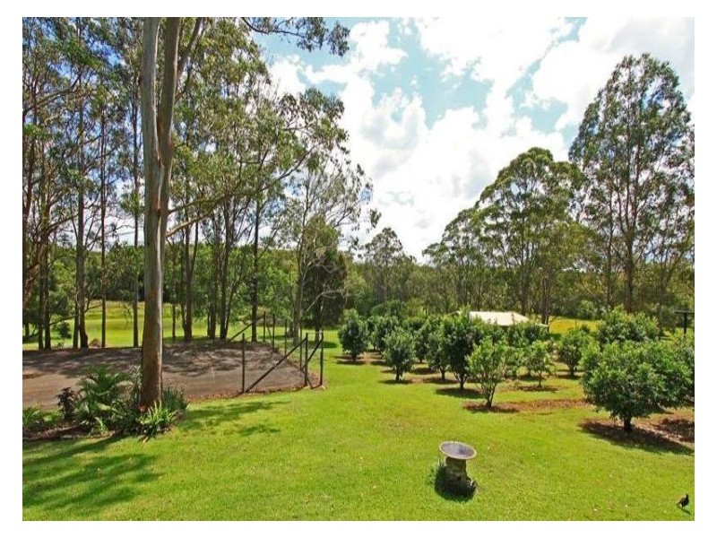 115 Hazelmount Lane, Tuckurimba NSW 2480