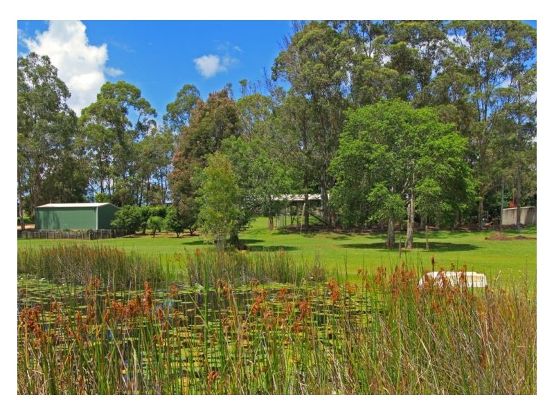 115 Hazelmount Lane, Tuckurimba NSW 2480