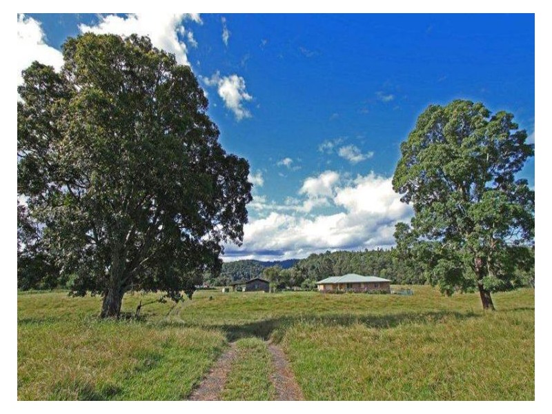 1 Cawongla Road, Rock Valley NSW 2480