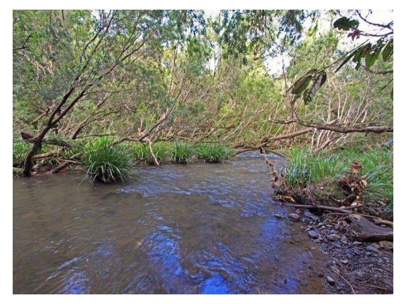 1 Cawongla Road, Rock Valley NSW 2480
