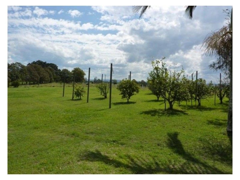 11665 Summerland Way, Fairy Hill NSW 2470