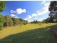 572 Tregeagle Rd, Tregeagle NSW 2480