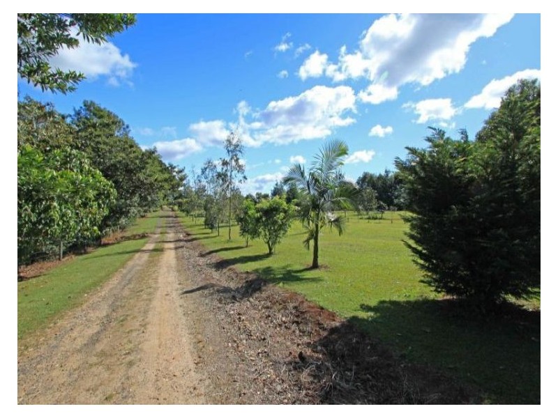 572 Tregeagle Rd, Tregeagle NSW 2480