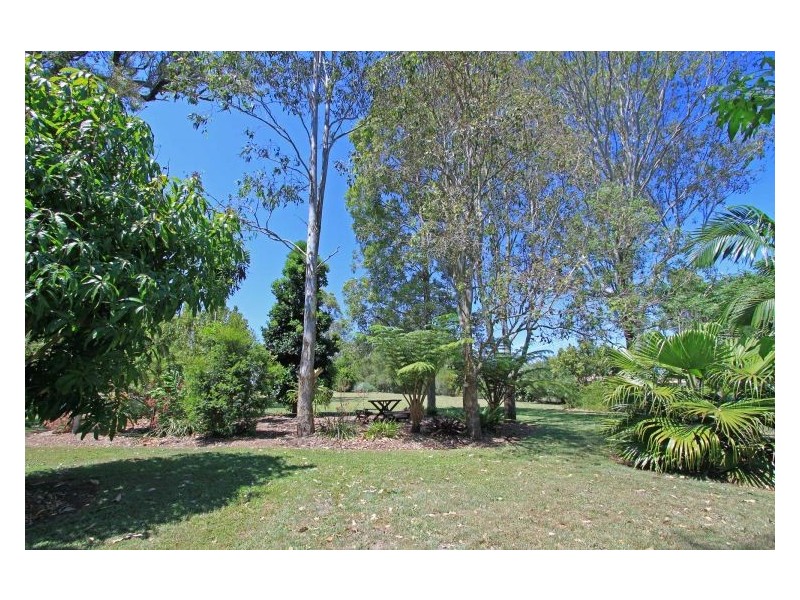 668 Fogwells Road, Yorklea NSW 2470