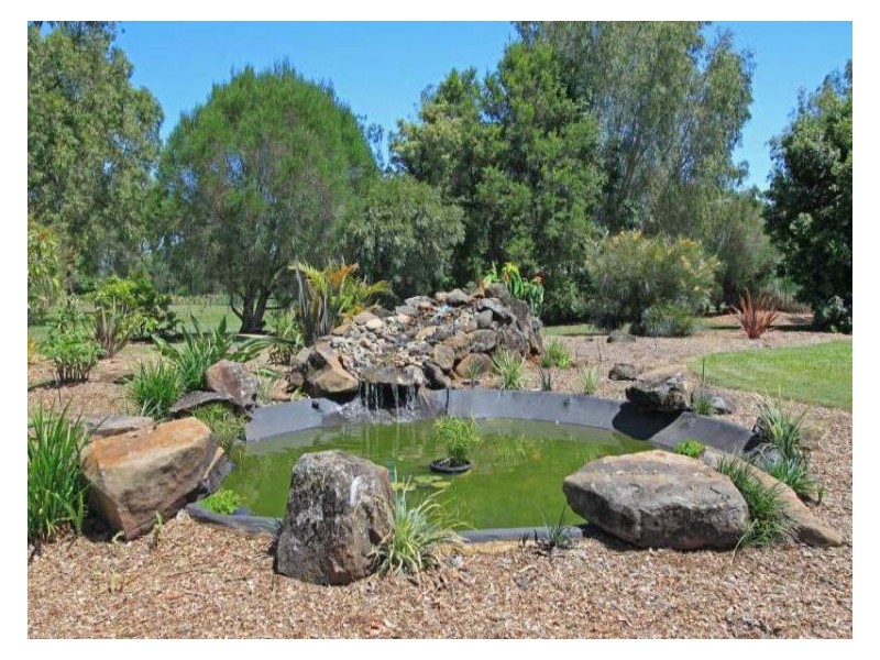 668 Fogwells Road, Yorklea NSW 2470