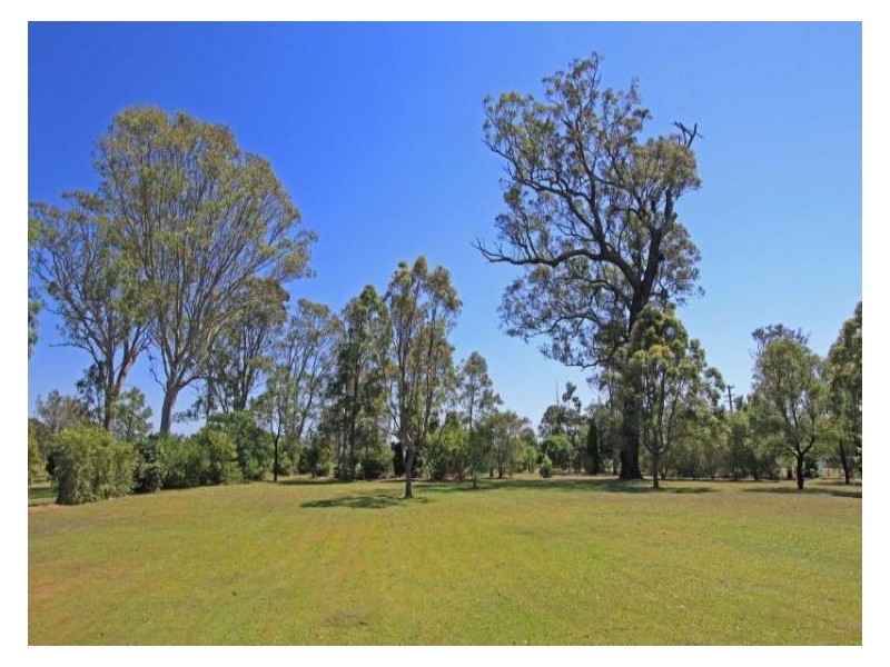 668 Fogwells Road, Yorklea NSW 2470