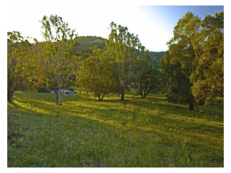 27 Chittick Access, Caniaba NSW 2480