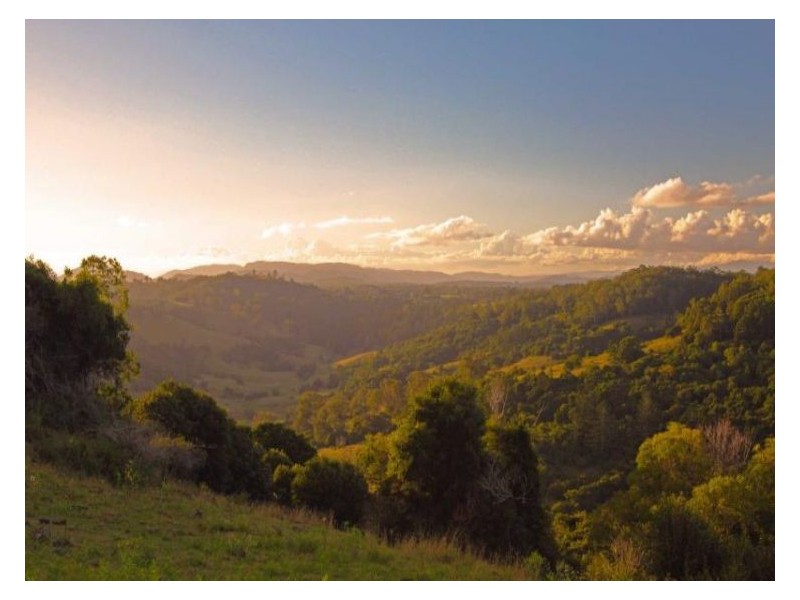 27 Chittick Access, Caniaba NSW 2480