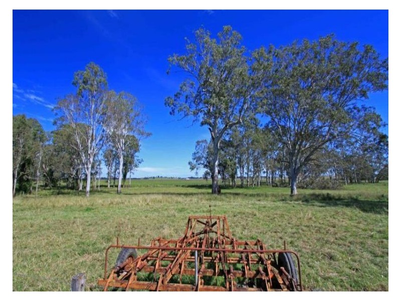 Mckees Hill NSW 2480