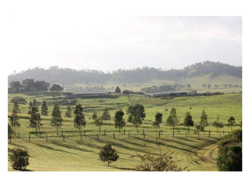 3328 Bentley Road, Cedar Point NSW 2474