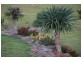 3328 Bentley Road, Cedar Point NSW 2474